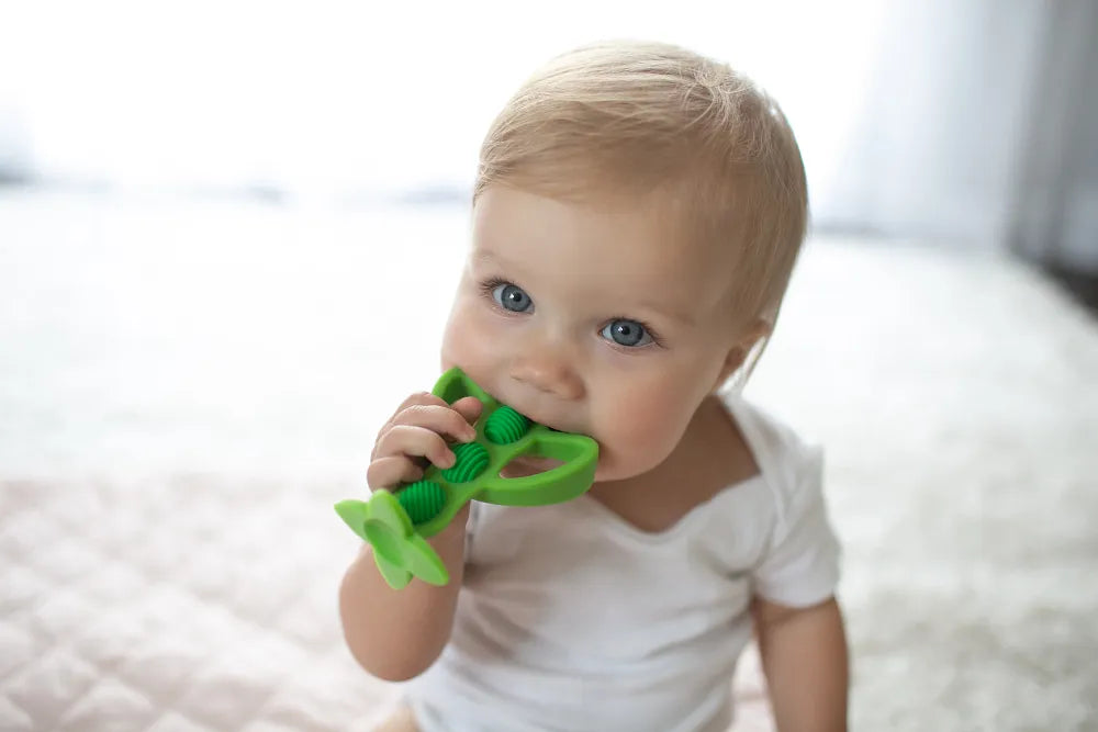 Dr. Brown’s® Peapod Teether + Training Toothbrush