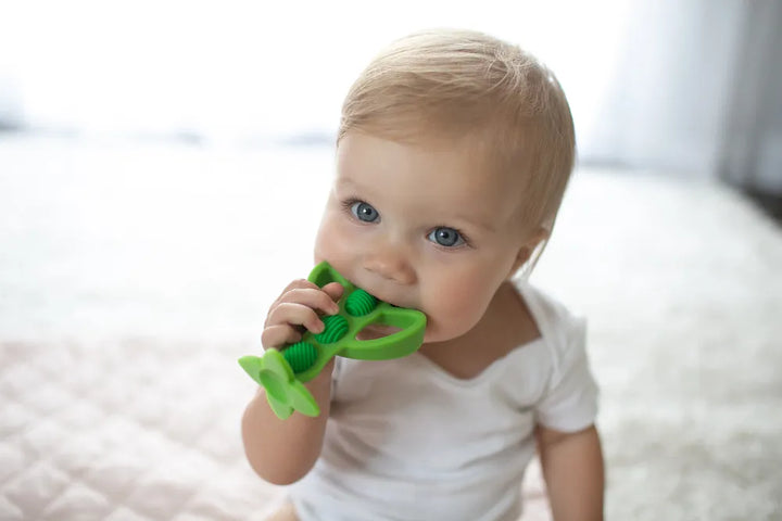 Dr. Brown’s® Peapod Teether + Training Toothbrush